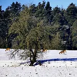 Ulbrich Langenstadt Casa vacanze Neudrossenfeld