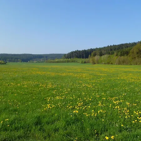 Ulbrich Langenstadt Vakantiehuis *
